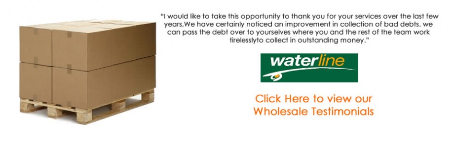 #caption2 SGP Wholesale Debt Recovery